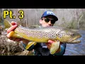 Streamer Fishing for Brown Trout ULTRA CLEAR WATER North Georgia Trout Pt 3
