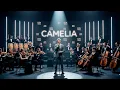 Lagu Irwansyah - Camelia | Cover 2026 | Orchestral Film Score