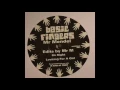Mr Mendel - So Right