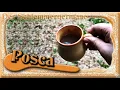 Posca - The Roman energy drink