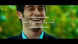 يلا تنحجز للفرحة احلى مواعيد دندنها