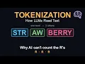 Tokenization Explained The Hidden Step Behind Every LLM