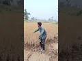 Download Lagu Bhalo Dhan Bhalo😇#shorts #trending #shortvideo #youtubeshorts