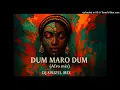 Download Lagu DUM MARO DUM (SWIZEL MASHUP)