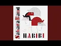 Download Lagu Habibi