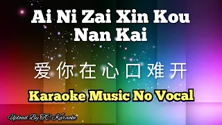 Download Ai Ni Zai Xin Kou Nan Kai 爱你在心口难开 karaoke mandarin no vocal MP3