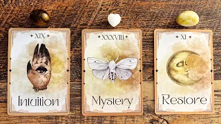 MEANT TO FIND YOU BEFORE THE END OF TODAY!👀🤍🌜| Pick a Card Tarot Reading