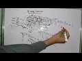 Linear Search and Binary Search in Arrays for EVERYONE Arrays in Java class ICSE ISC - 03