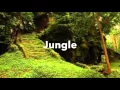Jungle - Single