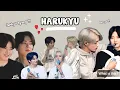 Download Lagu LINGKARAN CINTA HARUKYU | HARUKYU FUNNY MOMENTS (part 3) #TREASURE #JIKJIN #darari