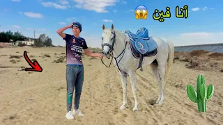 لما اخوك الصغير يركب خيل في رمضان ويتوه في الصحراء     علاء حسين دندنها