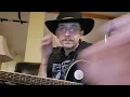 Lost Dog Street Band - Bring Back Someday (Cover)