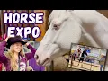 A MASSIVE Horse Expo Horses Seminars Shopping Equine Affaire 2024