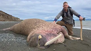 4 Days Camping, Hunting for Dead Walrus & Trolling for Bears