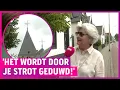 Download Lagu Kerken in opstand: heftig verzet tegen gaybrapad! Download Lagu Kerken in opstand: heftig verzet tegen gaybrapad!