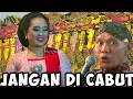 Download Lagu Goro Goro tatin njalok di cabut Pak Seno ora gelem