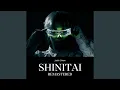 Download Lagu SHINITAI (2025 Remastered)
