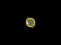Css 3d Rotation Animation