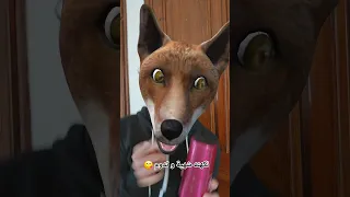 في منزل أنثى السنجاب تابعوني ليصلكم الجديد  في منزل أنثى السنجاب تابعوني ليصلكم الجديد