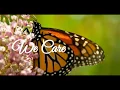 Loving Care Cremations Direct Cremation 695 00