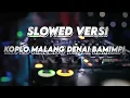 Download Lagu KOPLO MALANG DENAI BAMIMPI VERSI SLOWED VIRAL TIKTOK DJ EPAM RMX