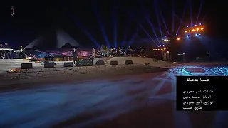 يعني ايه تامر حسني 