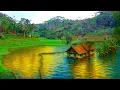 Download Lagu TAKKAN RELA‼️KAMPUNG SEINDAH INI KATANYA AKAN TENGGELAM Dan AKAN JADI LAUTAN KECIL DI MASA DEPAN