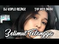 Download Lagu DJ KOPLO REMIX - Selimut Tetangga - TOP HITS MUSIC by Abd Rakhman Ch