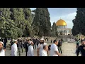 Group of Jewish people tours Jerusalem's al-Aqsa mosque compound | AFP