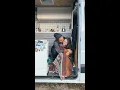 Download Lagu Thank You For The Happiest Year Of My Life 🚐 🐾 #vanlife #couple #lovestory