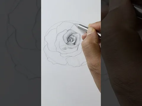 Flower 🌹 Drawing with Curve lines - Day 10 #shortsfeed #shorts #learning #drawing #beginners #paint