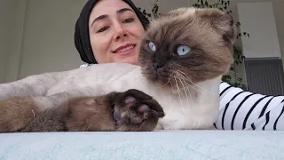 PAŞA VE ABLASININ TURŞUSUNU KURACAĞIZ   VLOG