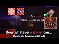 Strange aspect of Spiders in Terraria is like All Terraria Spiders explained