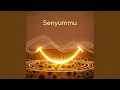 Download Lagu senyumu (Remix) MP3