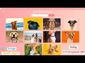 Image Search App using HTML Css Javascript and Unsplash API api project Becodewala