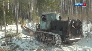 Омские силовики распутали дело о черных лесорубах в Знаменке