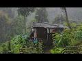 Lagu Kembali Di Guyur Hujan Deras - Hidup Di Pondok Hutan - Mencari Sayur Saat Hujan Untuk dimasak