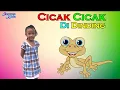 Download Lagu hagedissen in de putten van de | Populaire kinderliedjes