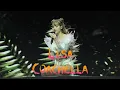 Download Lagu [☠️CENTER FRONT ROW 4K60 HDR] LISA BLACKPINK COACHELLA WK1 Dream+Moonlit Floor+Chill (SUNNI ver.)