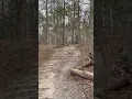 Bicycle post Greenville NC