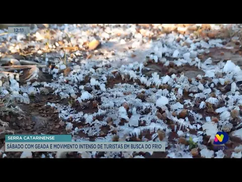 Serra catarinense: sábado com geada e movimento intenso de turistas em busca do frio