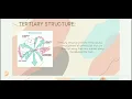 Tertiary Structure report in biophysics