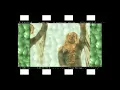 Dr Sakis - Darling i need you (Official Music Video 2007) The Classic