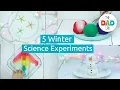 Top 5 Must-Try Christmas Science Activities for Kids