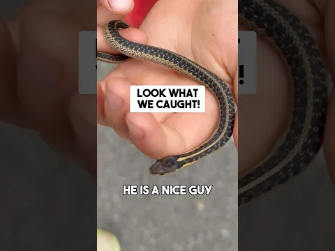 Ohh 😮 I don’t know 🤷