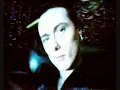 Suede - Animal Nitrate Lyrics