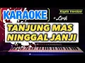 Download Lagu TANJUNG MAS NINGGAL JANJI KARAOKE 2023