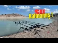Download Lagu Eskişehir Kuzfındık Barajı Sazan Avı | Suyu Çekilmiş Baraj, Dipte Ağaç Kökleri ve 1.5 Günlük Deneyim