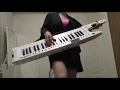「P.A.R.T.Y.～ユニバース・フェスティバル～」を弾いてみた【ショルキー】