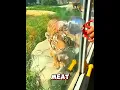 Lagu World's Pickiest Tiger 😂🐯 #shortvideo